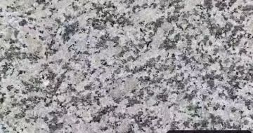 盐城 芙蓉白（芝麻白大花）火烧面