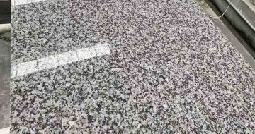 盐城 芙蓉白光面