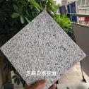 盐城 芝麻白荔枝面干挂