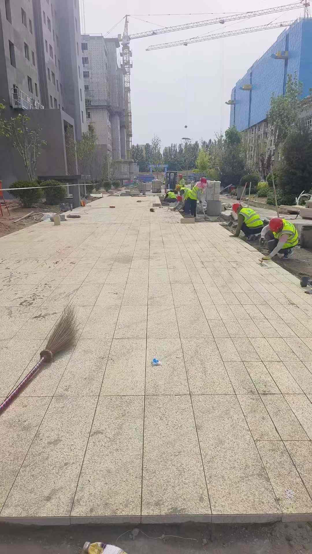 盐城黄金麻荔枝面地铺案例