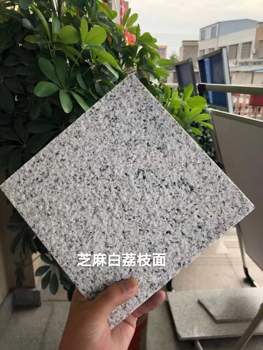 盐城 芝麻白荔枝面干挂