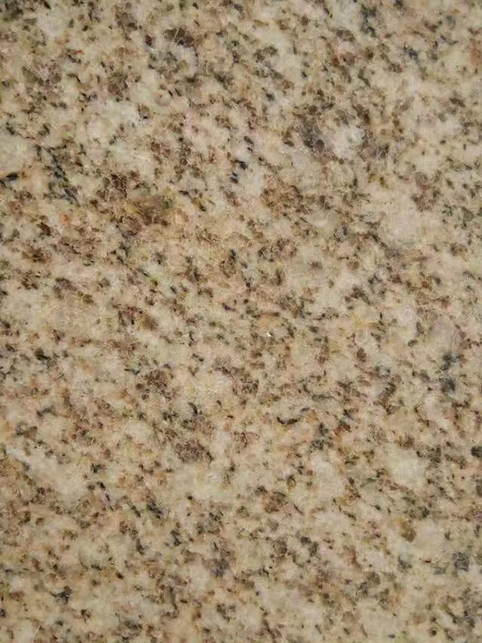 盐城黄金麻光面大花